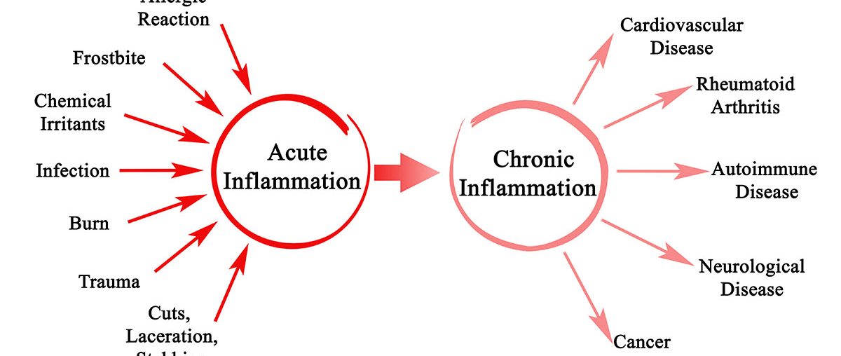 Inflammaging and What It Means for You