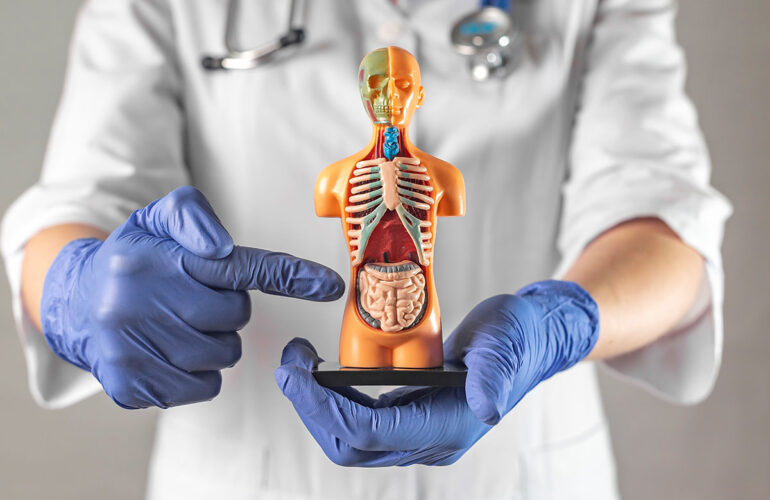 Alzheimer’s Disease, The Gut and CBD