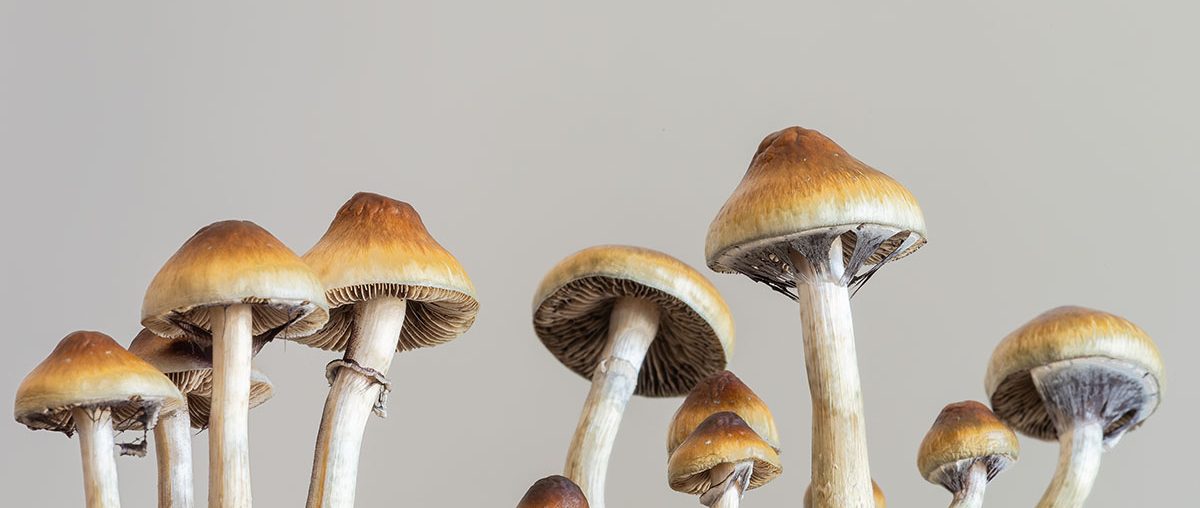 Psilocybin, Depression and Parkinson’s Disease
