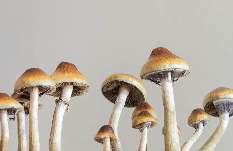 Psilocybin, Depression and Parkinson’s Disease