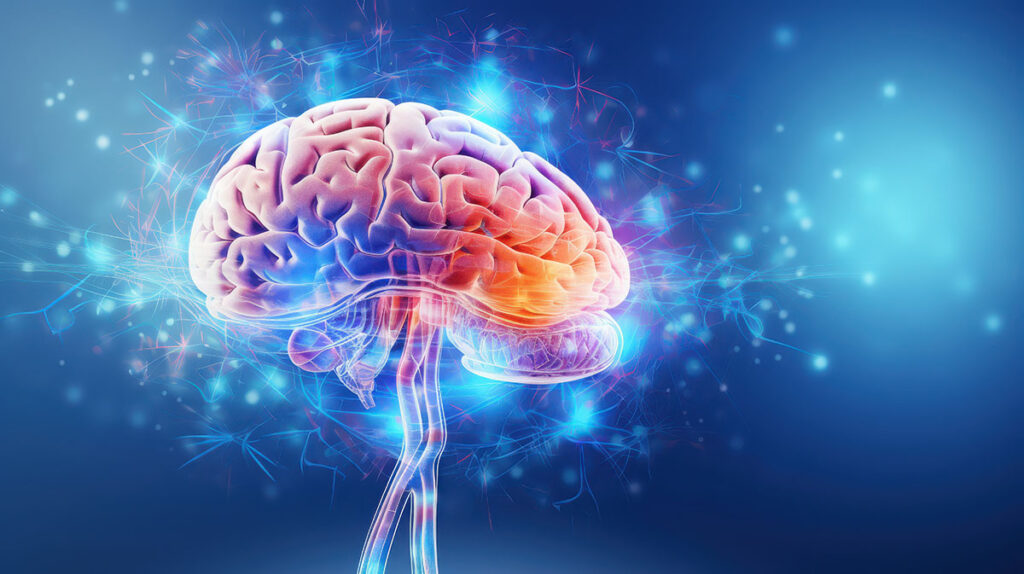 CBD and Brain Function