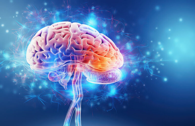 CBD and Brain Function